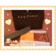 ヒメ日記 2025/06/06 06:24 投稿 かりん シャングリラ