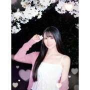 ヒメ日記 2026/04/06 23:54 投稿 かりん シャングリラ