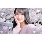 ヒメ日記 2026/04/15 09:15 投稿 かりん シャングリラ