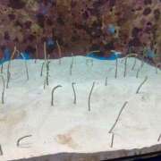 ヒメ日記 2024/12/14 10:26 投稿 水嶋 りょう 京都ホットポイント