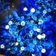 ヒメ日記 2025/01/03 12:07 投稿 水嶋 りょう 京都ホットポイント