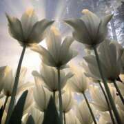 ヒメ日記 2025/01/04 12:09 投稿 水嶋 りょう 京都ホットポイント