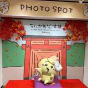 ヒメ日記 2025/02/27 08:56 投稿 水嶋 りょう 京都ホットポイント