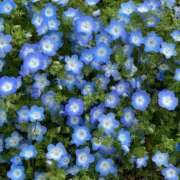 ヒメ日記 2025/03/27 12:05 投稿 水嶋 りょう 京都ホットポイント