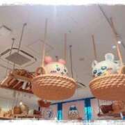 ヒメ日記 2025/04/19 12:04 投稿 水嶋 りょう 京都ホットポイント