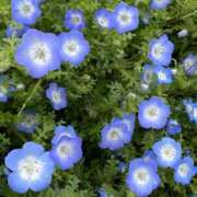 ヒメ日記 2025/04/26 12:16 投稿 水嶋 りょう 京都ホットポイント