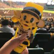 ヒメ日記 2025/08/14 12:15 投稿 水嶋 りょう 京都ホットポイント