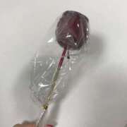 ヒメ日記 2025/08/16 12:15 投稿 水嶋 りょう 京都ホットポイント