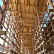 ヒメ日記 2025/10/09 12:16 投稿 水嶋 りょう 京都ホットポイント