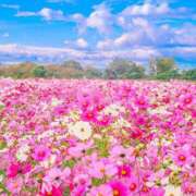 ヒメ日記 2025/10/30 12:31 投稿 水嶋 りょう 京都ホットポイント