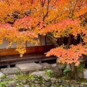 ヒメ日記 2025/11/24 10:15 投稿 水嶋 りょう 京都ホットポイント