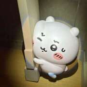 ヒメ日記 2025/11/27 12:16 投稿 水嶋 りょう 京都ホットポイント