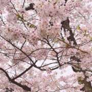 ヒメ日記 2026/02/28 12:05 投稿 水嶋 りょう 京都ホットポイント