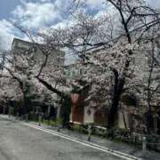 ヒメ日記 2026/03/28 12:05 投稿 水嶋 りょう 京都ホットポイント