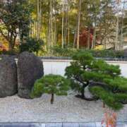 美咲(みさき) 久しぶりに Ageha（あげは）