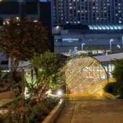 ヒメ日記 2025/11/22 10:07 投稿 ときえ 熟女家 堺東店