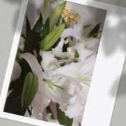 ときえ おはようございます☔ 熟女家 堺東店