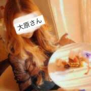 ヒメ日記 2025/07/16 23:34 投稿 大原 新宿人妻城