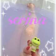 ヒメ日記 2025/02/18 11:51 投稿 せりな 鶯谷デリヘル倶楽部