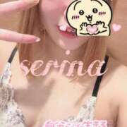 ヒメ日記 2026/02/13 16:28 投稿 せりな 鶯谷デリヘル倶楽部