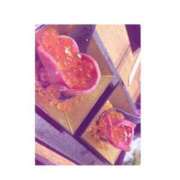 ヒメ日記 2025/05/30 23:25 投稿 うた スピード難波店