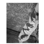 うた うた（スピード難波店） スピード難波店