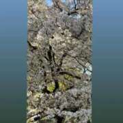 うた うた（スピード難波店） スピード難波店