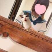 ヒメ日記 2024/12/21 13:04 投稿 りん 秋葉原コスプレ学園in仙台