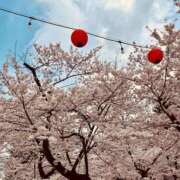 ヒメ日記 2025/04/19 20:53 投稿 りん 秋葉原コスプレ学園in仙台