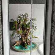 ヒメ日記 2025/09/12 06:33 投稿 りん 秋葉原コスプレ学園in仙台