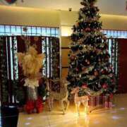 ヒメ日記 2025/11/25 12:23 投稿 りん 秋葉原コスプレ学園in仙台