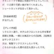 ヒメ日記 2025/12/31 12:14 投稿 りん 秋葉原コスプレ学園in仙台