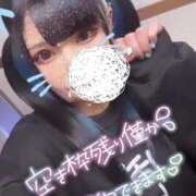 ヒメ日記 2024/12/10 10:19 投稿 あげは ナチュラルプリンセス