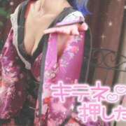 ヒメ日記 2024/12/12 09:35 投稿 あげは ナチュラルプリンセス