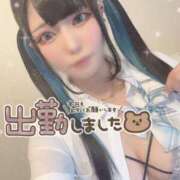 ヒメ日記 2025/04/02 15:55 投稿 あげは ナチュラルプリンセス