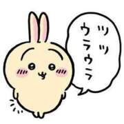 ヒメ日記 2025/04/07 10:16 投稿 あげは ナチュラルプリンセス