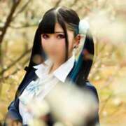 ヒメ日記 2025/04/10 16:45 投稿 あげは ナチュラルプリンセス