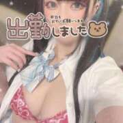 ヒメ日記 2025/04/13 15:45 投稿 あげは ナチュラルプリンセス