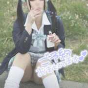 ヒメ日記 2025/04/14 11:15 投稿 あげは ナチュラルプリンセス