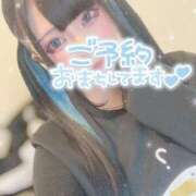 ヒメ日記 2025/04/15 11:07 投稿 あげは ナチュラルプリンセス