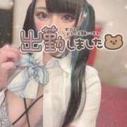 ヒメ日記 2025/04/18 15:45 投稿 あげは ナチュラルプリンセス