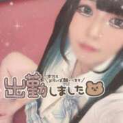 ヒメ日記 2025/04/30 15:35 投稿 あげは ナチュラルプリンセス