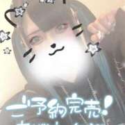 ヒメ日記 2025/05/03 10:55 投稿 あげは ナチュラルプリンセス