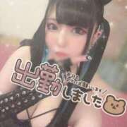 ヒメ日記 2025/05/14 15:55 投稿 あげは ナチュラルプリンセス