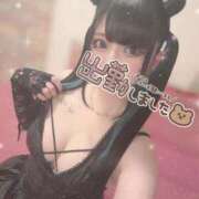 ヒメ日記 2025/05/18 15:35 投稿 あげは ナチュラルプリンセス