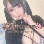 ヒメ日記 2025/05/29 10:45 投稿 あげは ナチュラルプリンセス