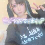 ヒメ日記 2025/07/01 10:15 投稿 あげは ナチュラルプリンセス