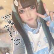 ヒメ日記 2025/07/02 01:55 投稿 あげは ナチュラルプリンセス