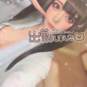 ヒメ日記 2025/07/04 15:55 投稿 あげは ナチュラルプリンセス