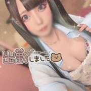 ヒメ日記 2025/07/09 15:25 投稿 あげは ナチュラルプリンセス